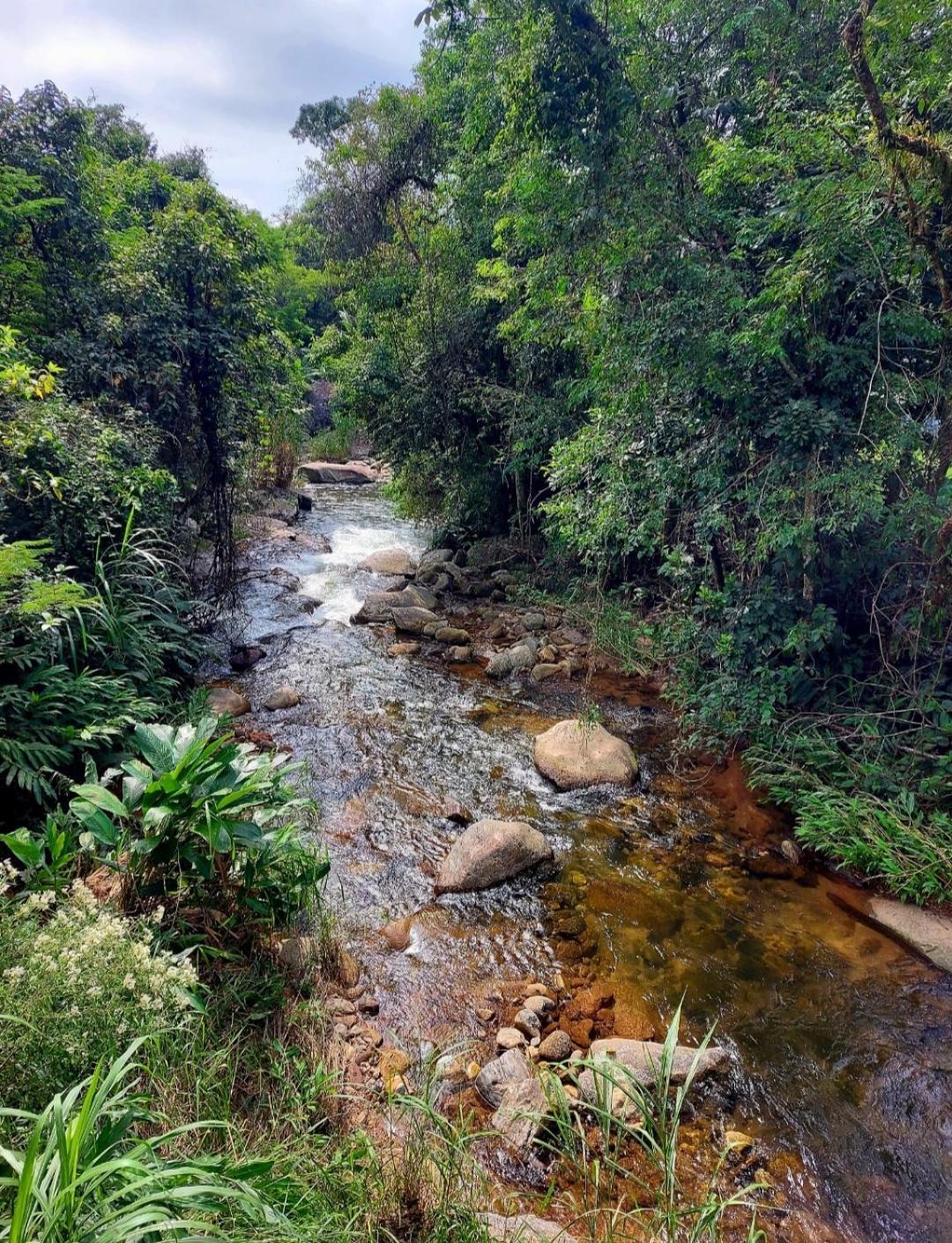 Pousada Sitio Monte Sinai São José do Barreiro Extérieur photo