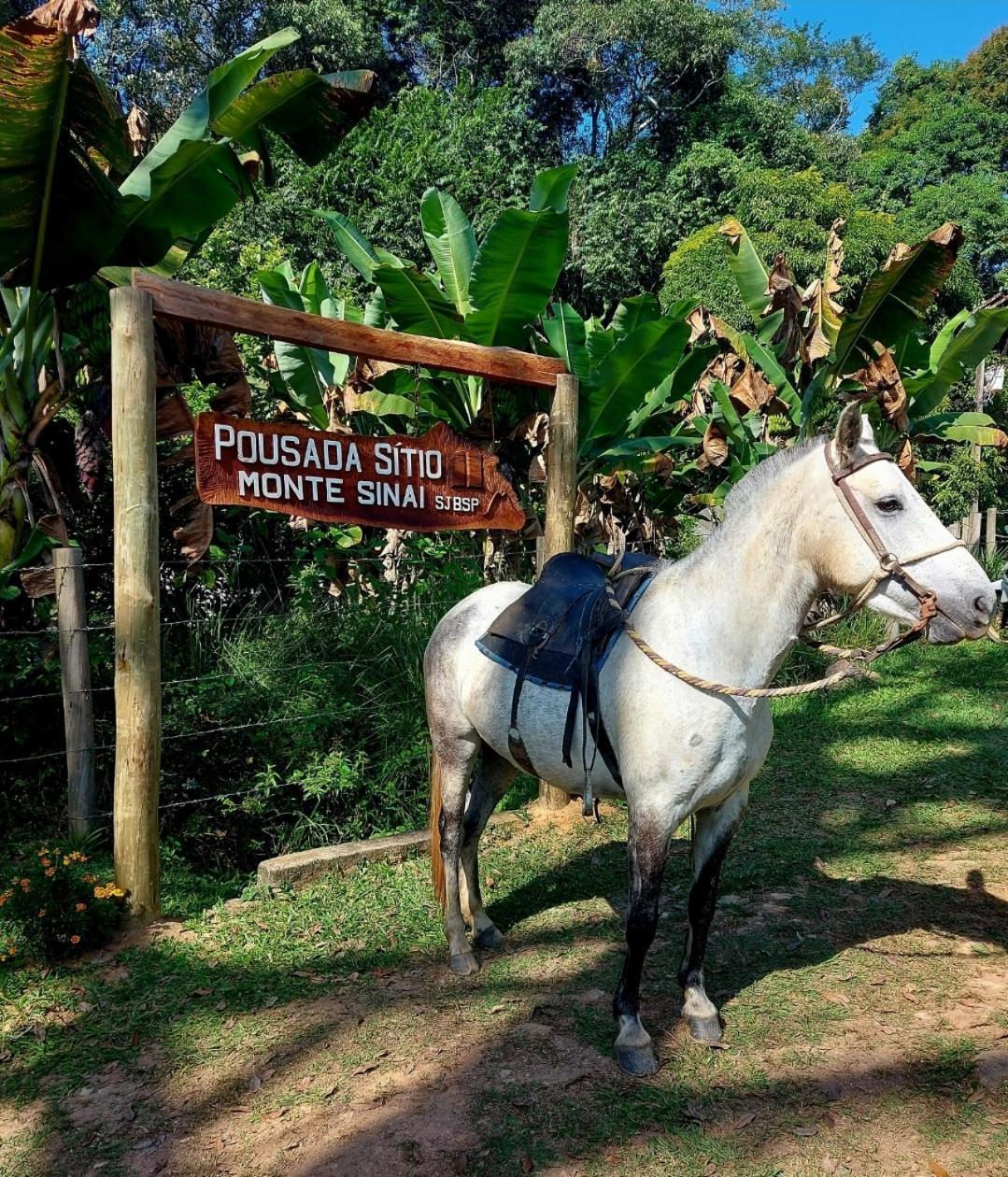 Pousada Sitio Monte Sinai São José do Barreiro Extérieur photo
