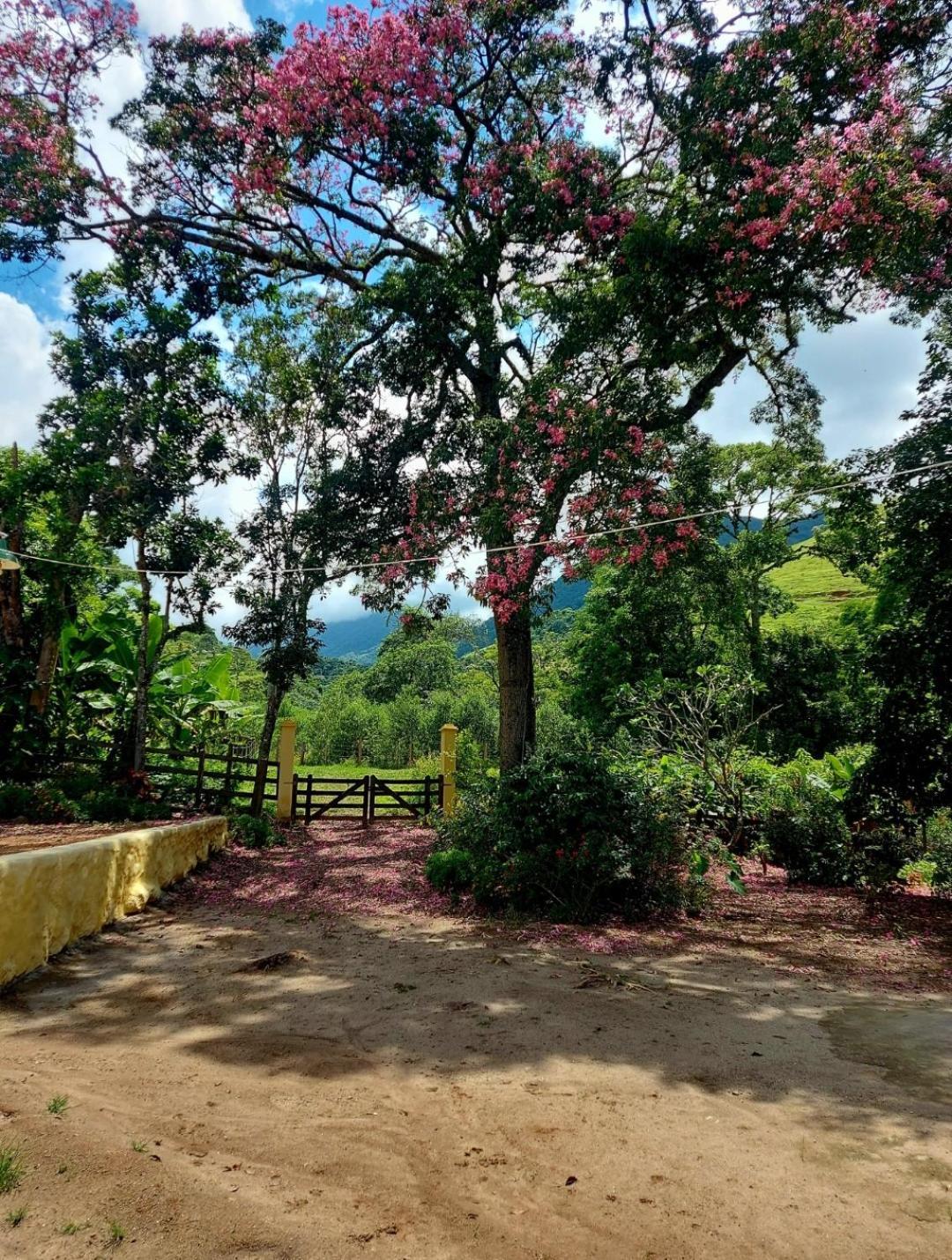 Pousada Sitio Monte Sinai São José do Barreiro Extérieur photo